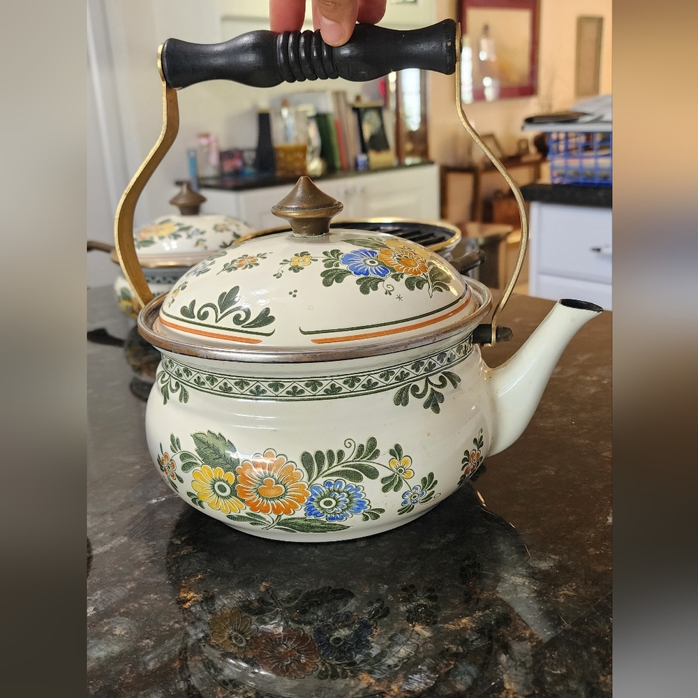 German ASTA Floral Cookware Set Brass Handle Enamelware 10 Piece Set with lids.